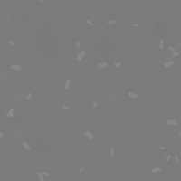 Asset preview